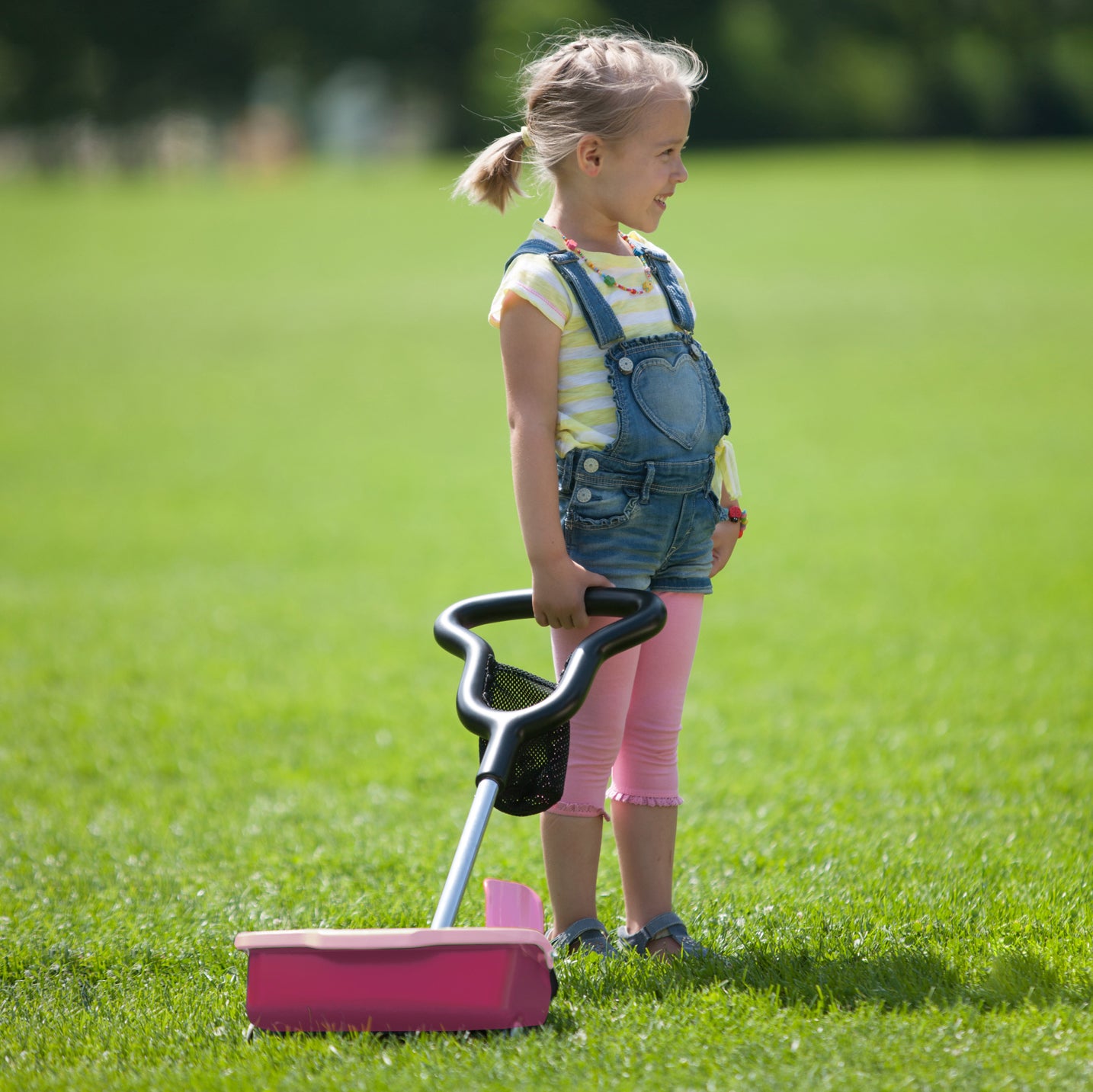 Towable Rear Tipping Bucket