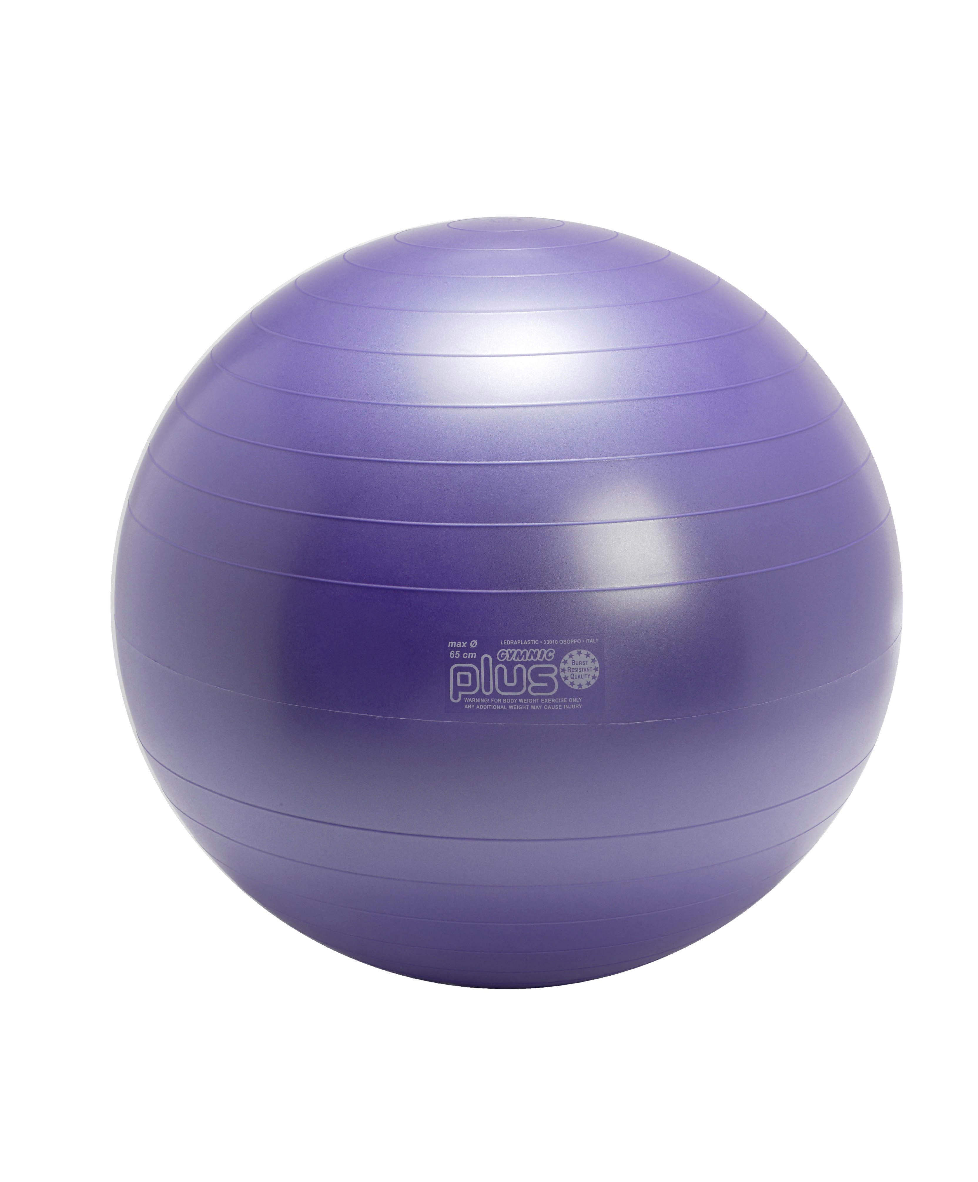 Gymnic Plus BRQ Physiotherapy Balls