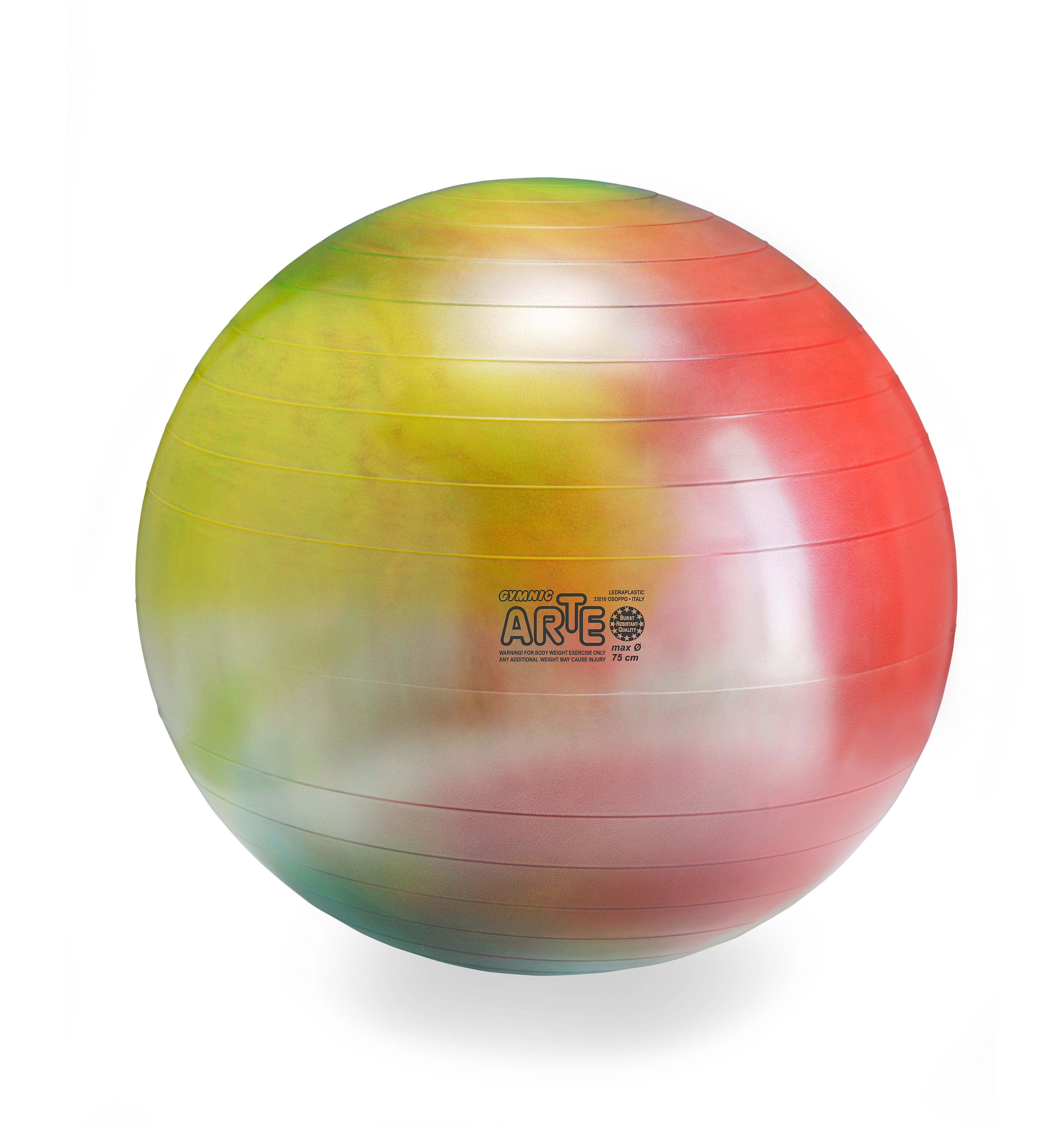 Gymnic Arte BRQ Physiotherapy & Fitness Balls