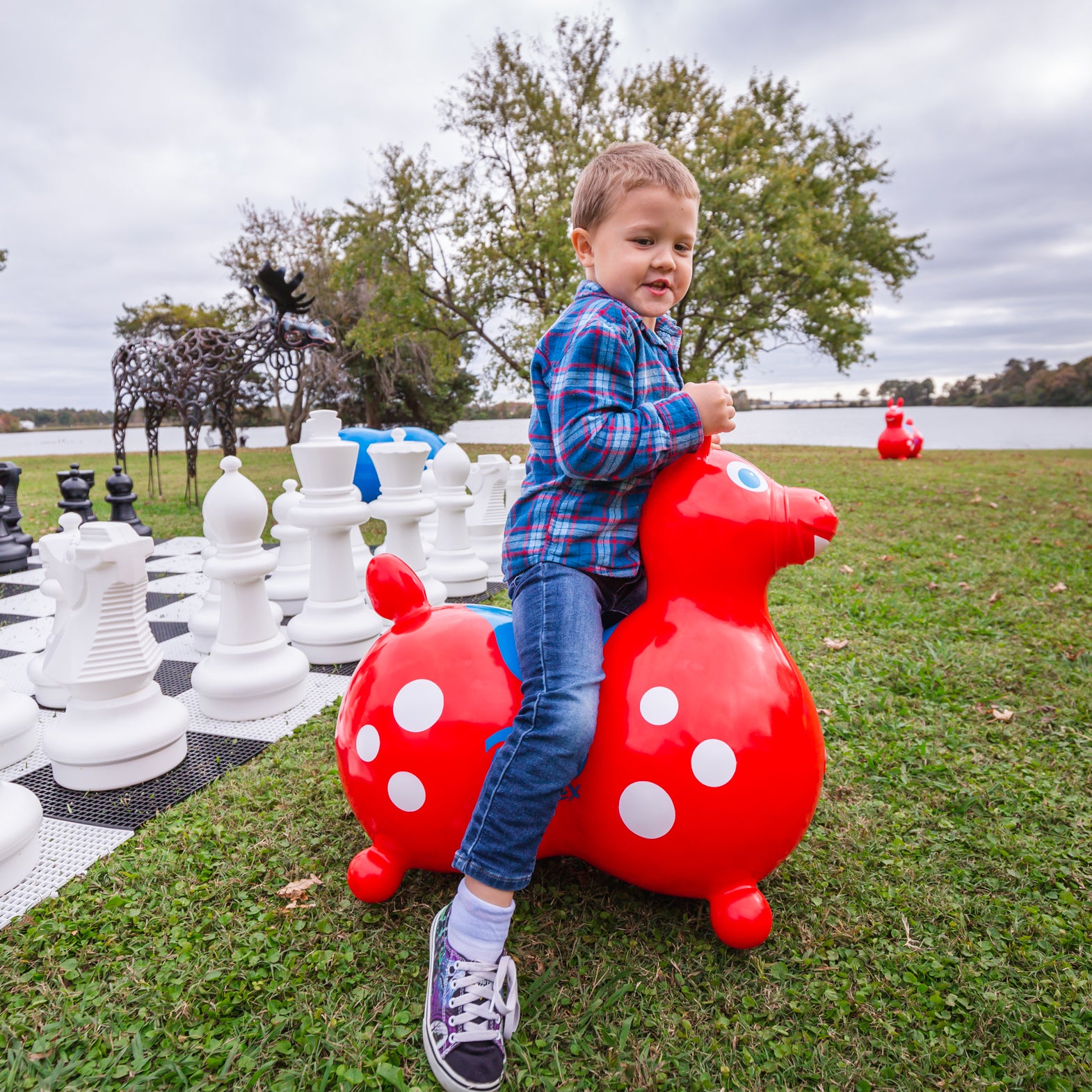 Rody Max is the large version of our popular Rody horse, meant for bigger kids (5 years and up). It promotes an involving and active playtime while developing children’s balance, motor skills and body coordination. Rody Max is also a valuable therapy tool for children with special needs.