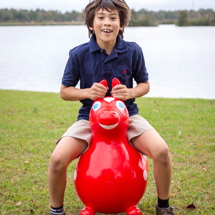 Rody MAX Inflatable Bounce Horse With Pump – KETTLER USA