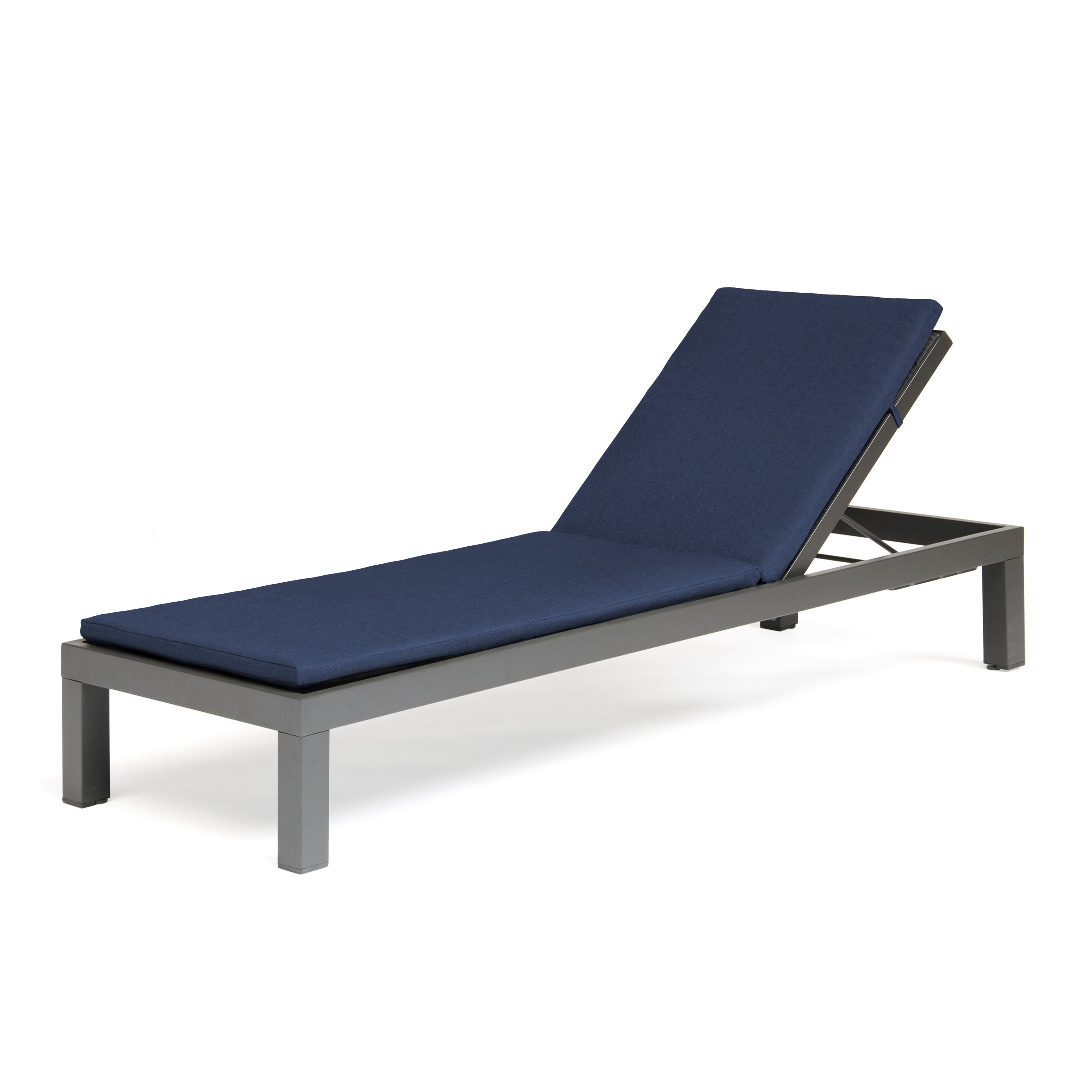 Elba Multi-Position Lounger with Cushion