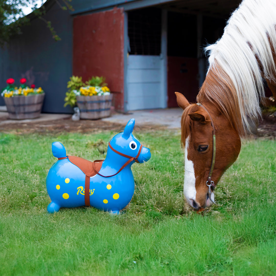 Rody with Rocking Base and Saddle