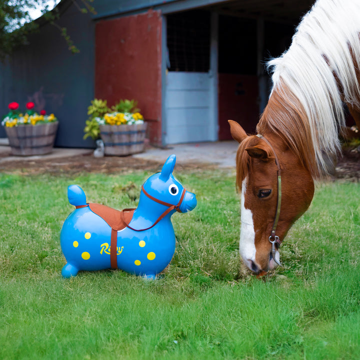 Rody with Rocking Base and Saddle