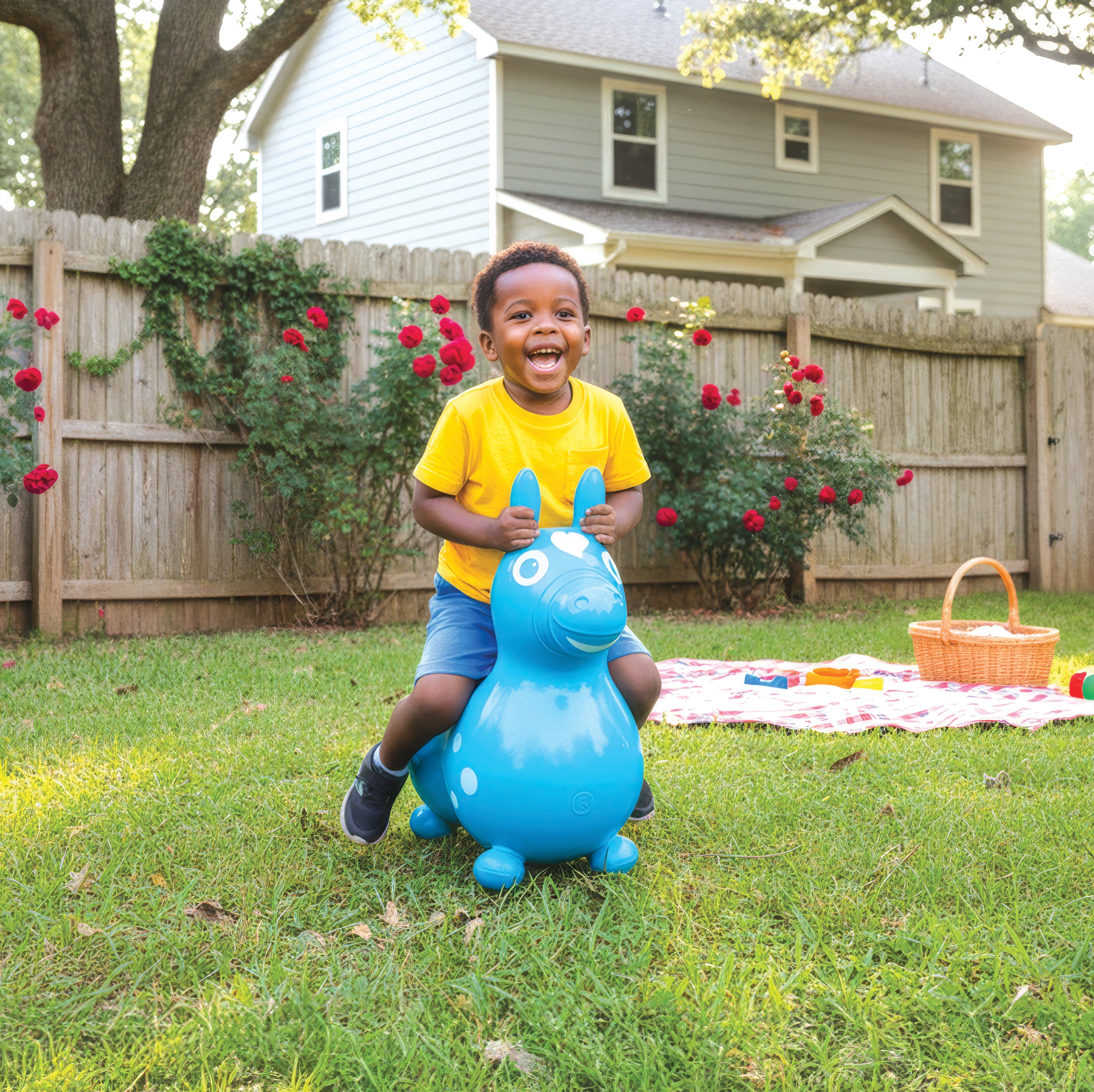 Rody Inflatable Bounce Horse With Pump – KETTLER USA