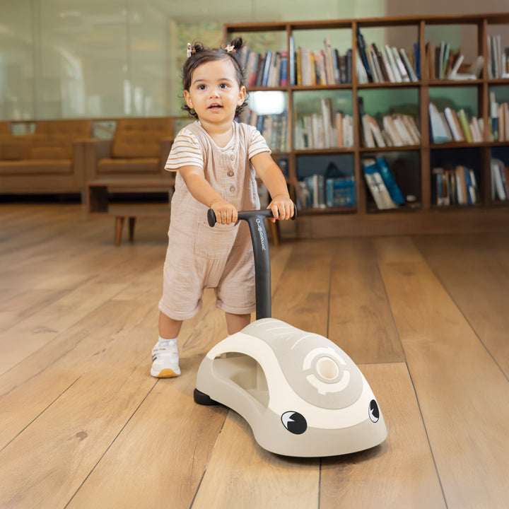 ECO Walk'n'Roll 2-in-1