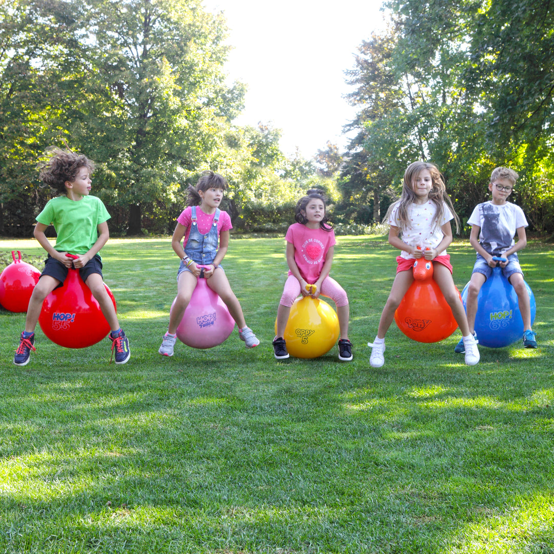 Hop Balls Raspberry Hop Balls – KETTLER USA