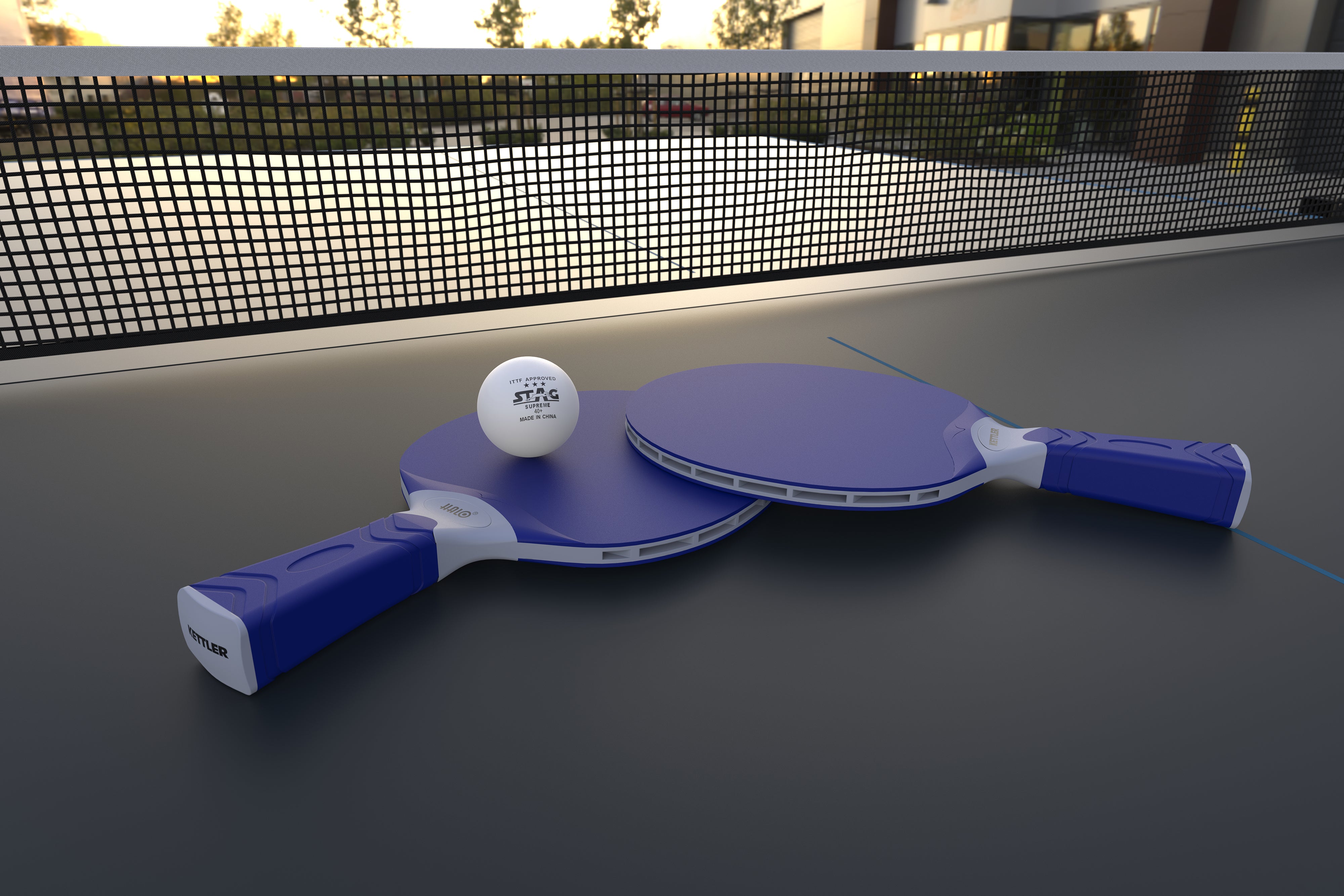 HALO 2-Player Outdoor Table Tennis Accessory Set