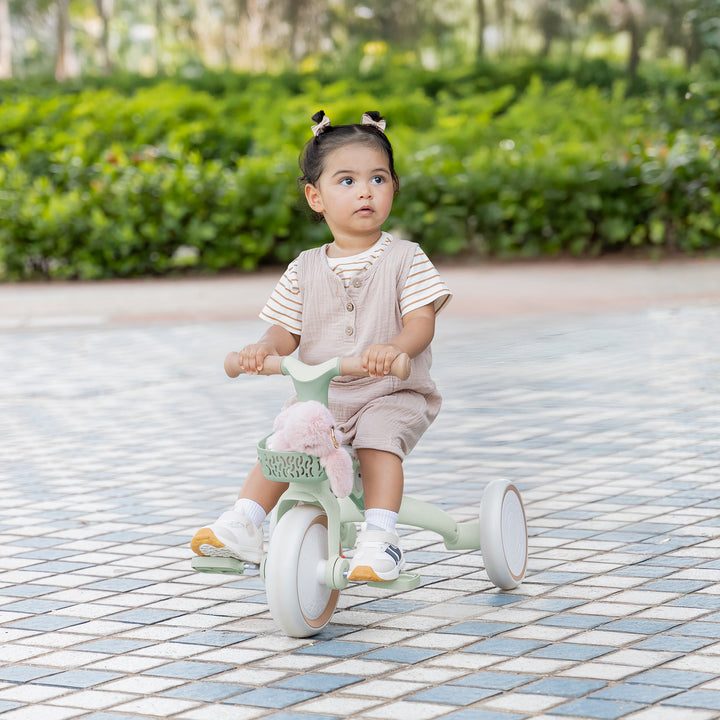 ECO Learning Trike 3-in-1