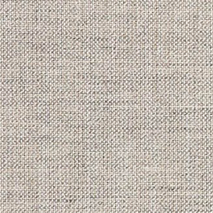cast silver color swatch