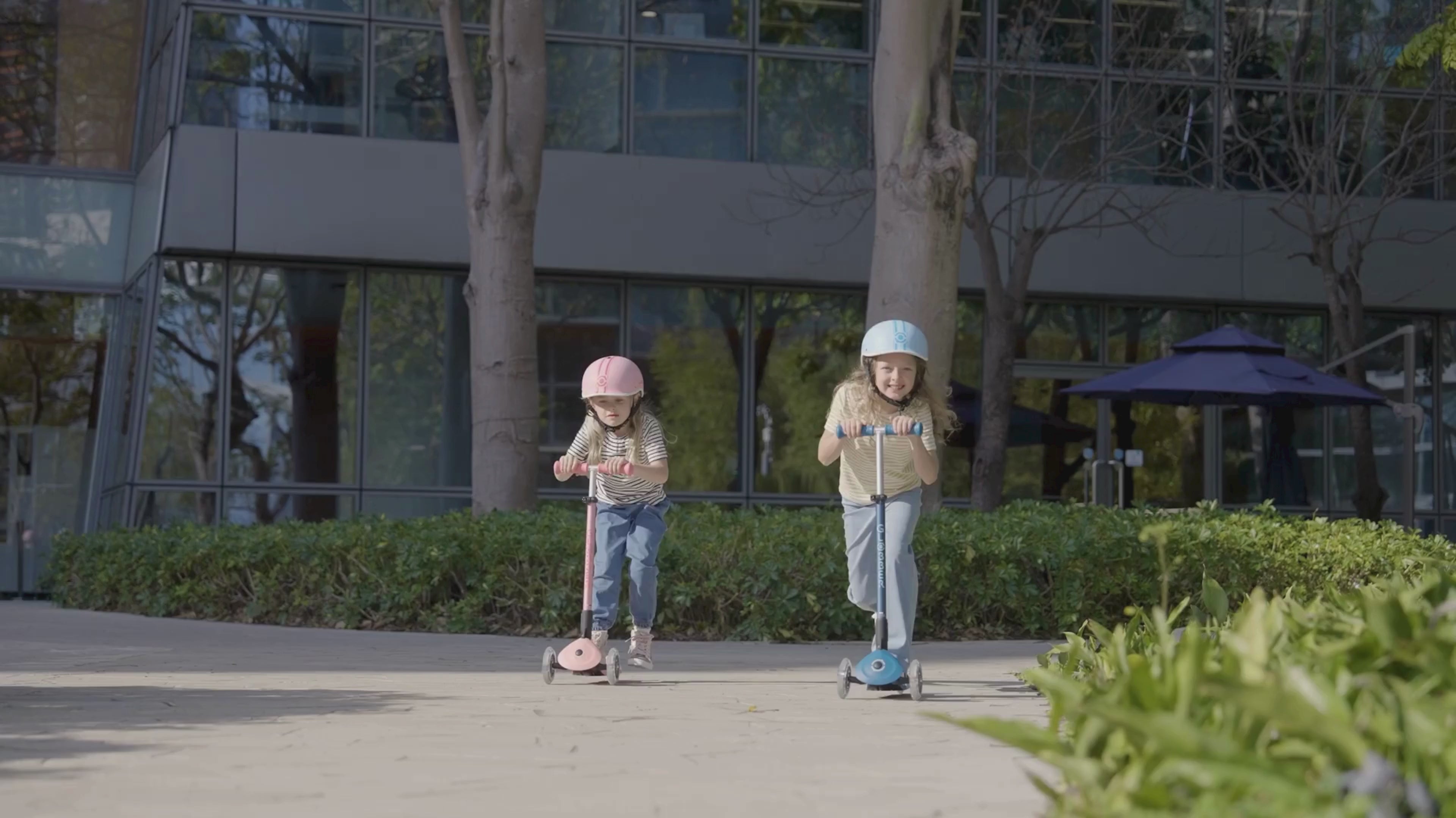 Elite Scooter