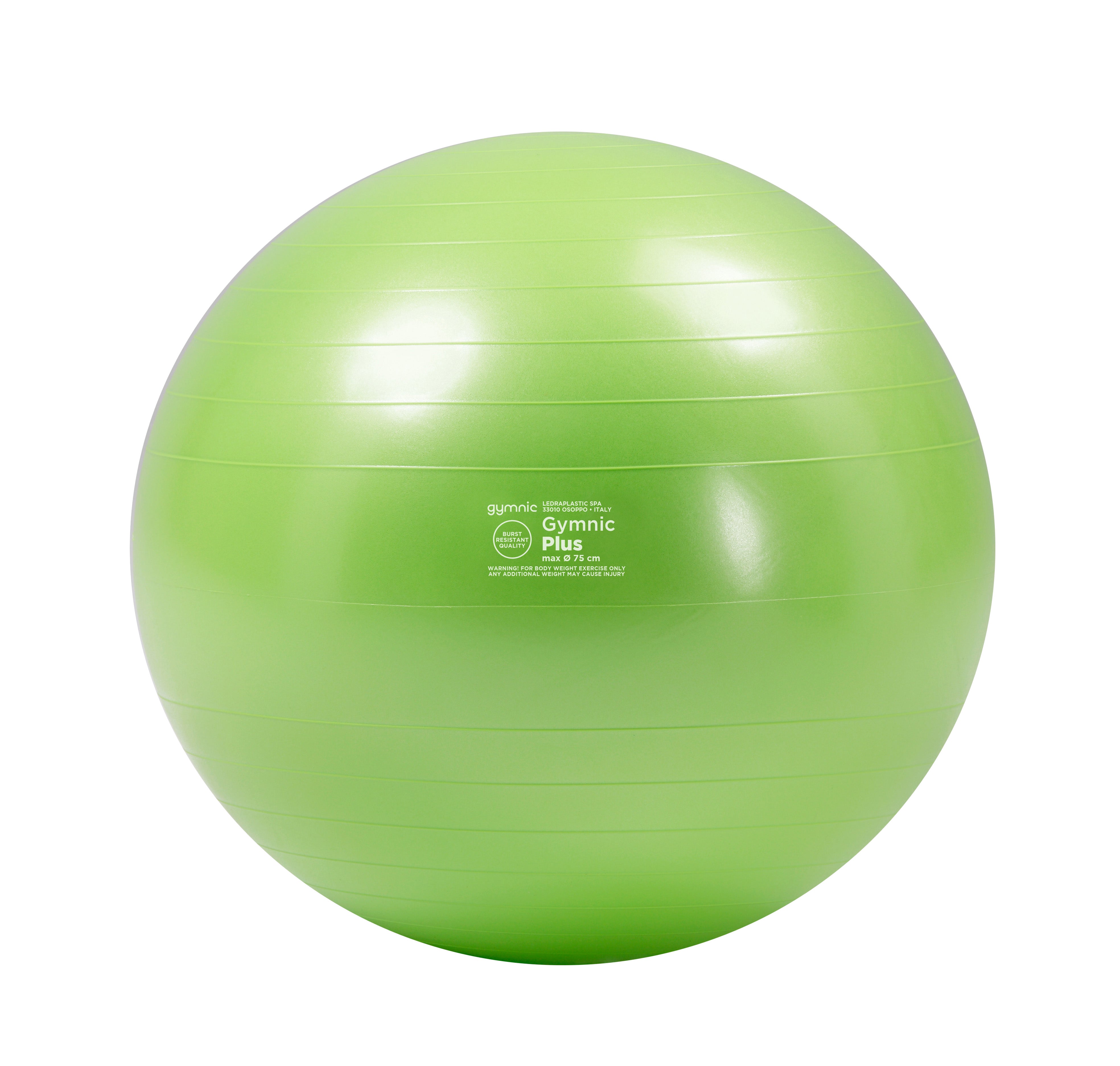 Gymnic Plus BRQ Physiotherapy Balls