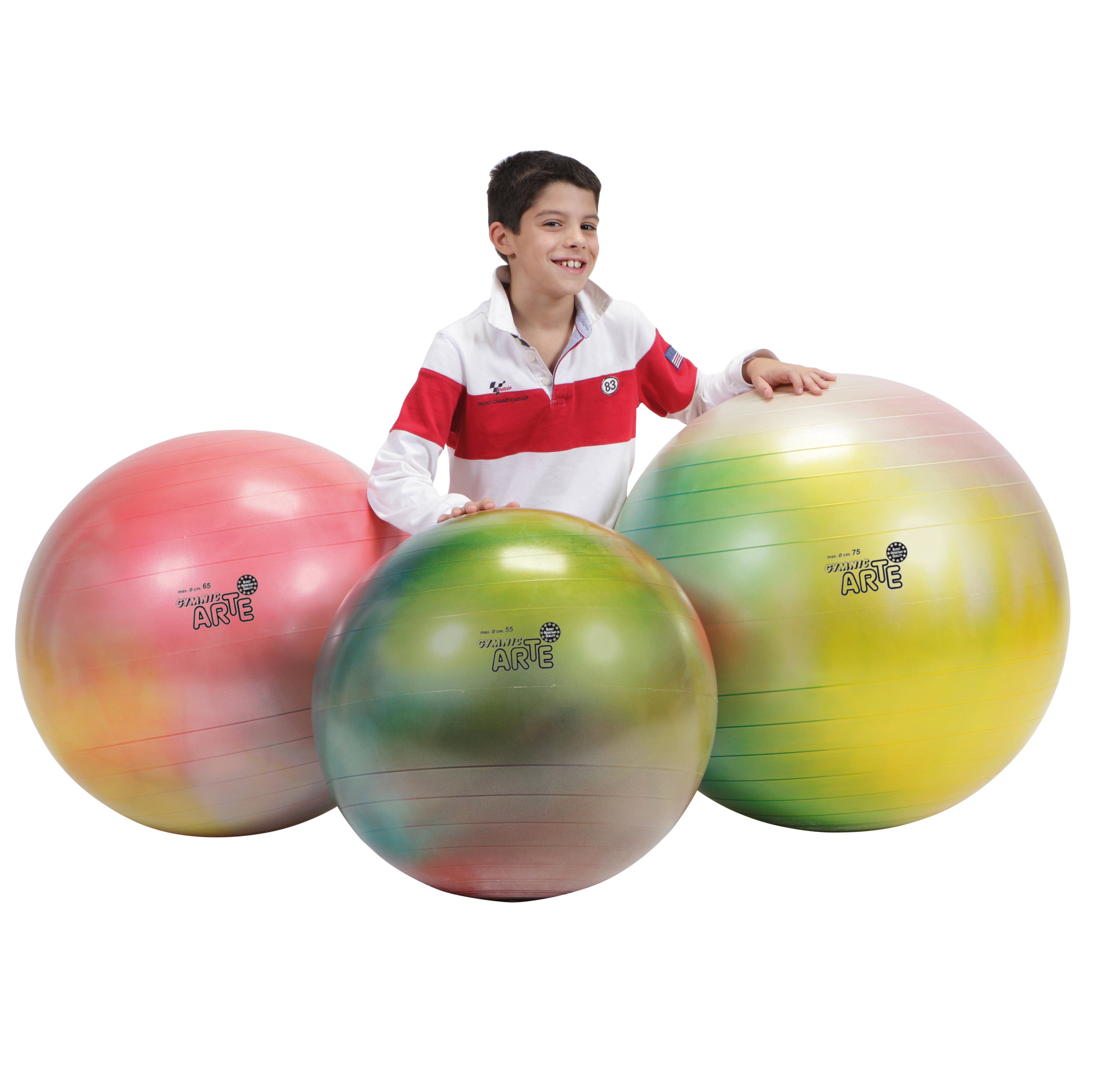 Gymnic Arte BRQ Physiotherapy & Fitness Balls