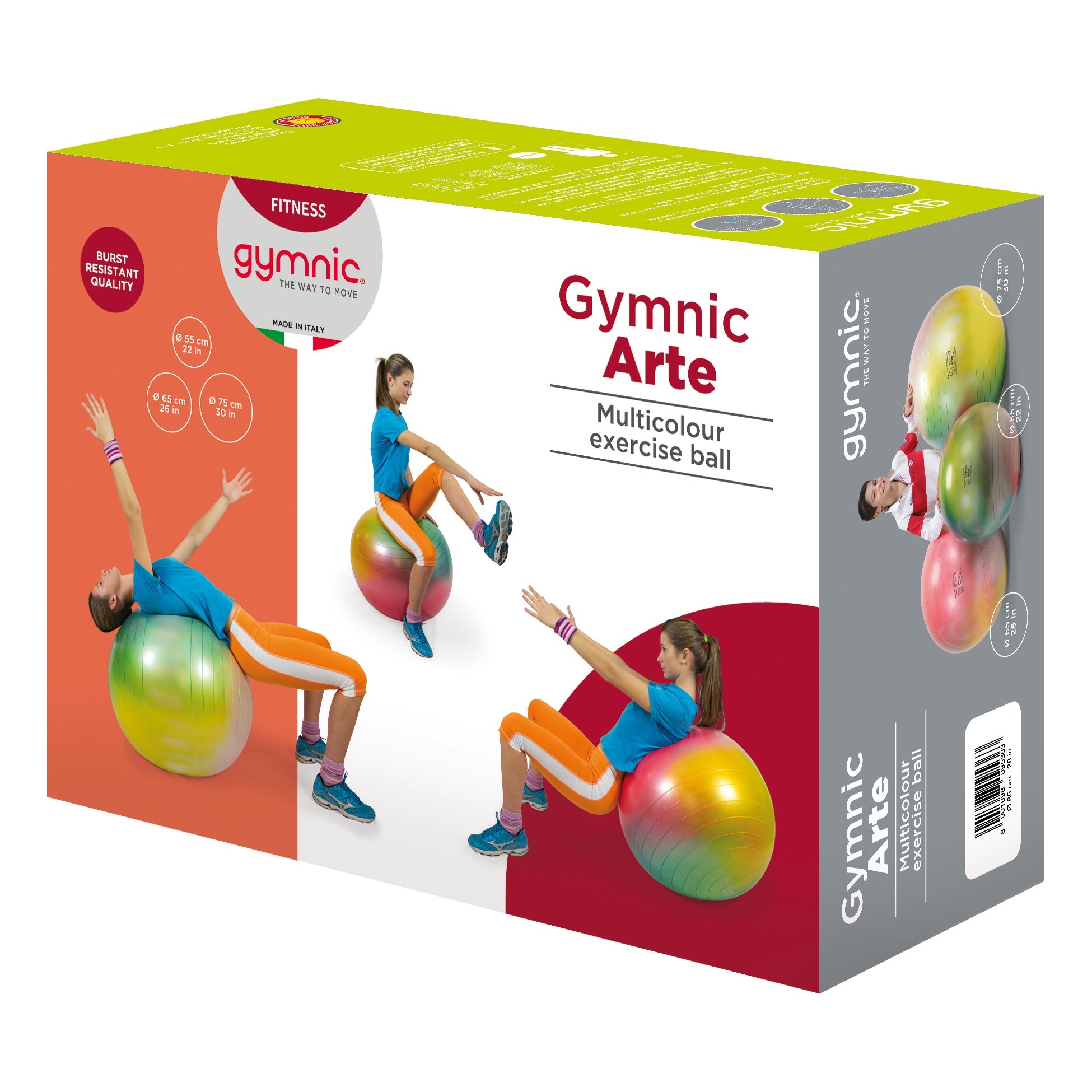 Gymnic Arte BRQ Physiotherapy & Fitness Balls